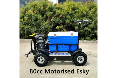 80cc Motorised Cooler Scooter 4 Wheel Motorbike Atv Quad Icebox Esky Lifan