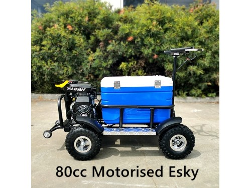 80cc Motorised Cooler Scooter 4 Wheel Motorbike Atv Quad Icebox Esky Lifan