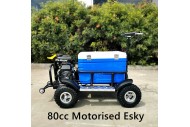 80cc Motorised Cooler Scooter 4 Wheel Motorbike Atv Quad Icebox Esky Lifan