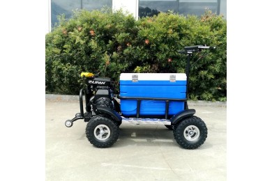 80cc Motorised Cooler Scooter 4 Wheel Motorbike Atv Quad Icebox Esky Lifan
