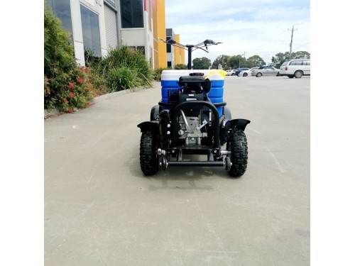 80cc Motorised Cooler Scooter 4 Wheel Motorbike Atv Quad Icebox Esky Lifan