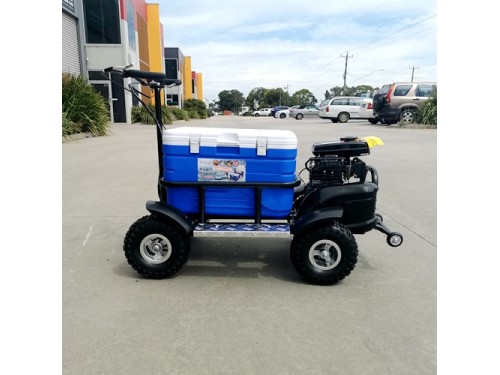 80cc Motorised Cooler Scooter 4 Wheel Motorbike Atv Quad Icebox Esky Lifan