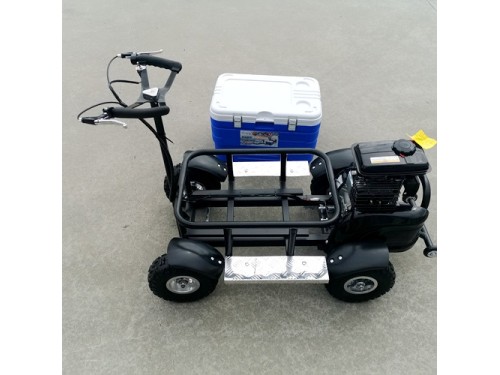 80cc Motorised Cooler Scooter 4 Wheel Motorbike Atv Quad Icebox Esky Lifan