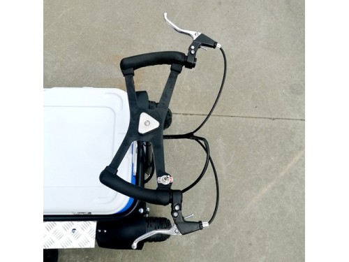 80cc Motorised Cooler Scooter 4 Wheel Motorbike Atv Quad Icebox Esky Lifan
