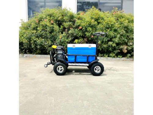 80cc Motorised Cooler Scooter 4 Wheel Motorbike Atv Quad Icebox Esky Lifan