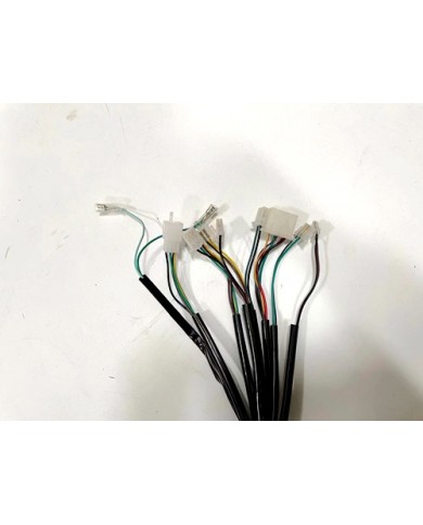 Wiring Harness Wiring Loom 125CC BUGGY SAHARA 3M LENGTH TWIN SEAT E-START