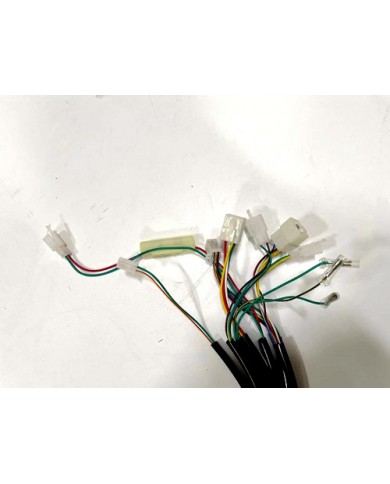Wiring Harness Wiring Loom 125CC BUGGY SAHARA 3M LENGTH TWIN SEAT E-START