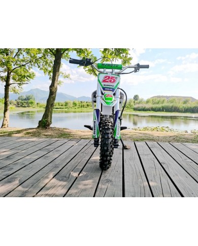 70cc Dirt Bike Trail Pit Bike Motor Electric Start Semi Auto Junior Bike Kid Green