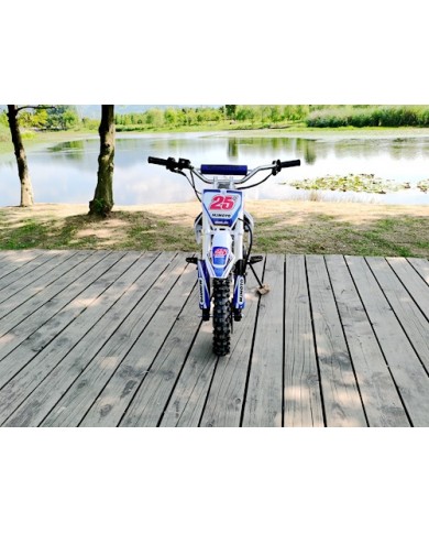 70cc Dirt Bike Trail Pit Bike Motor Electric Start Auto STINGRAY Junior Bike Kid Blue