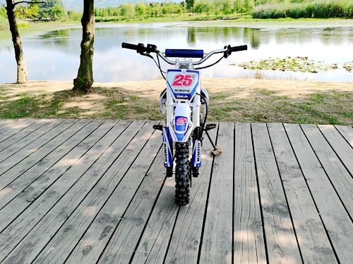 70cc Dirt Bike Trail Pit Bike Motor Electric Start Auto STINGRAY Junior Bike Kid Blue