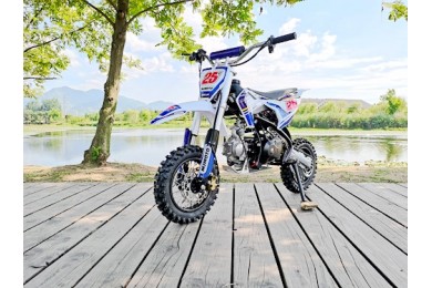 70cc Dirt Bike Trail Pit Bike Motor Electric Start Auto STINGRAY Junior Bike Kid Blue