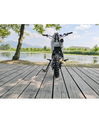 70cc Dirt Bike Trail Pit Bike Motor Electric Start Auto STINGRAY Junior Bike Kid Blue
