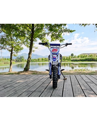 70cc Dirt Bike Trail Pit Bike Motor Electric Start Auto STINGRAY Junior Bike Kid Blue