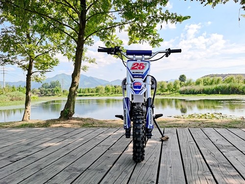 70cc Dirt Bike Trail Pit Bike Motor Electric Start Auto STINGRAY Junior Bike Kid Blue
