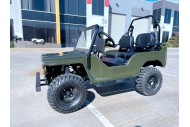 150cc Mini Willy Jeep Replica 2WD Semi Auto Golf Cart Twin Seat Kids Adults