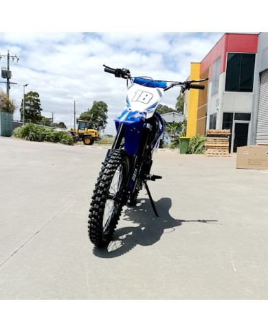 125CC PIT MOTOR DIRT BIKE TRAIL MOTOCROSS PRO KICK START 14/17 BIG WHEEL BLUE