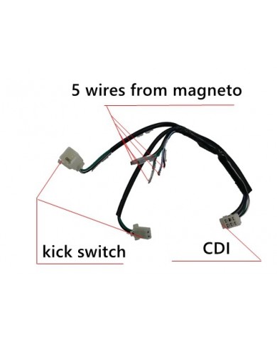 Wire Loom Wiring Harness Kick Start Dirt Bike Pit Trail