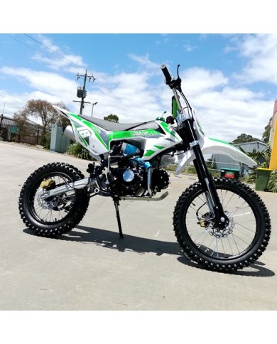 125CC DIRT BIKE PIT MOTOR TRAIL MOTOCROSS DINGO PRO ELECTRIC START 14/17 BIG WHEEL GREEN