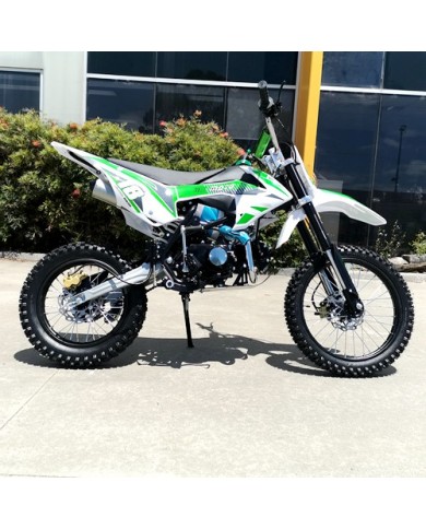 125CC DIRT BIKE PIT MOTOR TRAIL MOTOCROSS DINGO PRO ELECTRIC START 14/17 BIG WHEEL GREEN
