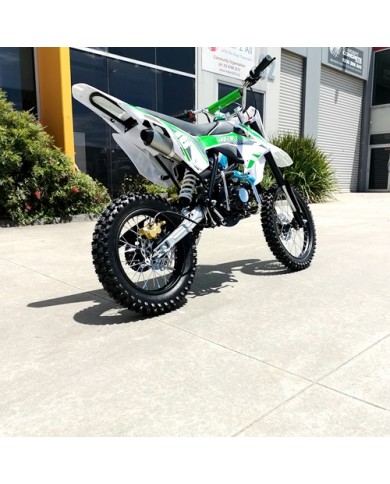 125CC DIRT BIKE PIT MOTOR TRAIL MOTOCROSS DINGO PRO ELECTRIC START 14/17 BIG WHEEL GREEN