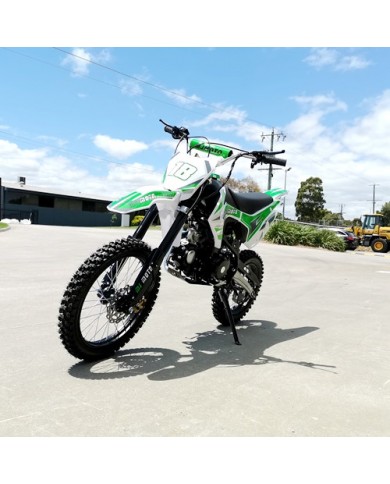 125CC DIRT BIKE PIT MOTOR TRAIL MOTOCROSS DINGO PRO ELECTRIC START 14/17 BIG WHEEL GREEN