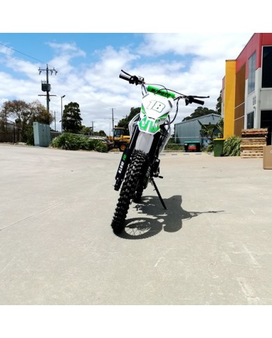 125CC DIRT BIKE PIT MOTOR TRAIL MOTOCROSS DINGO PRO ELECTRIC START 14/17 BIG WHEEL GREEN