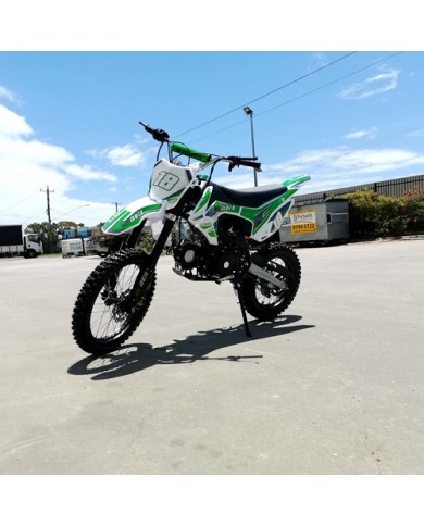 125CC DIRT BIKE PIT MOTOR TRAIL MOTOCROSS DINGO PRO ELECTRIC START 14/17 BIG WHEEL GREEN