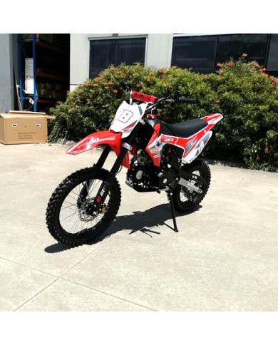 125CC PIT MOTOR DIRT BIKE TRAIL MOTOCROSS PRO ELECTRIC START 14/17 BIG WHEEL RED