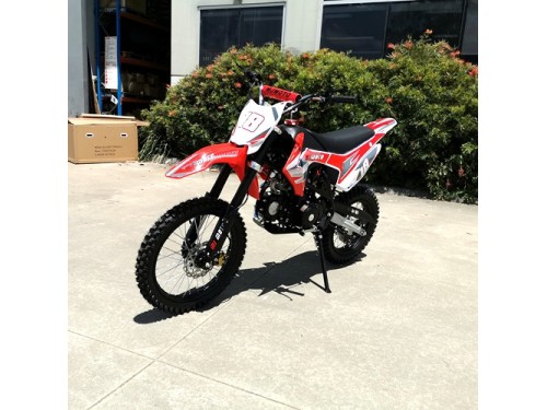 125CC PIT MOTOR DIRT BIKE TRAIL MOTOCROSS PRO ELECTRIC START 14/17 BIG WHEEL RED