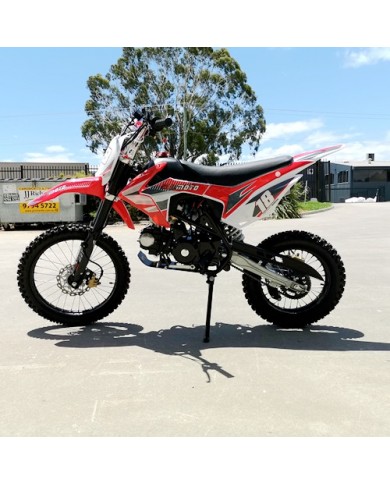 125CC PIT MOTOR DIRT BIKE TRAIL MOTOCROSS PRO ELECTRIC START 14/17 BIG WHEEL RED