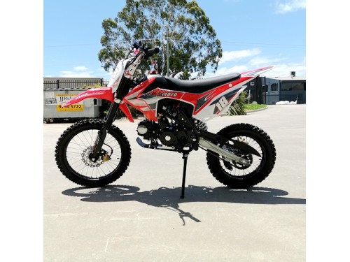 125CC PIT MOTOR DIRT BIKE TRAIL MOTOCROSS PRO ELECTRIC START 14/17 BIG WHEEL RED
