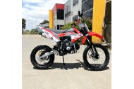 125CC PIT MOTOR DIRT BIKE TRAIL MOTOCROSS PRO ELECTRIC START 14/17 BIG WHEEL RED