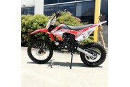 125CC PIT MOTOR DIRT BIKE TRAIL MOTOCROSS PRO ELECTRIC START 14/17 BIG WHEEL RED