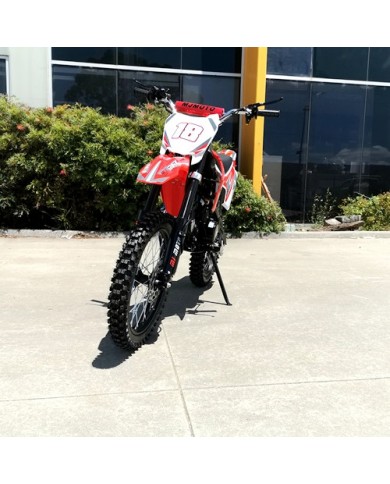 125CC PIT MOTOR DIRT BIKE TRAIL MOTOCROSS PRO ELECTRIC START 14/17 BIG WHEEL RED