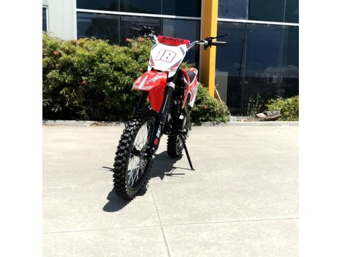 125CC PIT MOTOR DIRT BIKE TRAIL MOTOCROSS PRO ELECTRIC START 14/17 BIG WHEEL RED