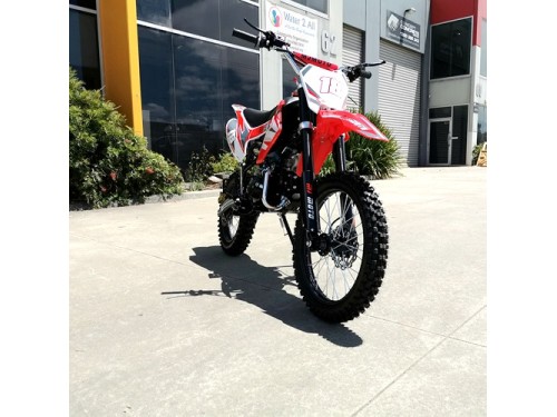 125CC PIT MOTOR DIRT BIKE TRAIL MOTOCROSS PRO ELECTRIC START 14/17 BIG WHEEL RED