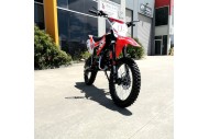 125CC PIT MOTOR DIRT BIKE TRAIL MOTOCROSS PRO ELECTRIC START 14/17 BIG WHEEL RED