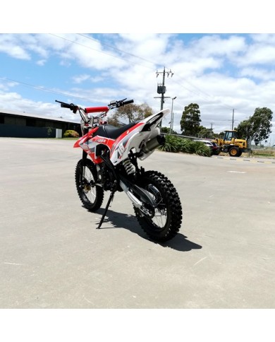 125CC PIT MOTOR DIRT BIKE TRAIL MOTOCROSS PRO ELECTRIC START 14/17 BIG WHEEL RED