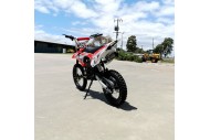 125CC PIT MOTOR DIRT BIKE TRAIL MOTOCROSS PRO ELECTRIC START 14/17 BIG WHEEL RED