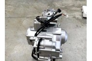 125cc 1+1 Semi Auto + Reverse Engine Motor PIT QUAD DIRT BIKE ATV DUNE BUGGY