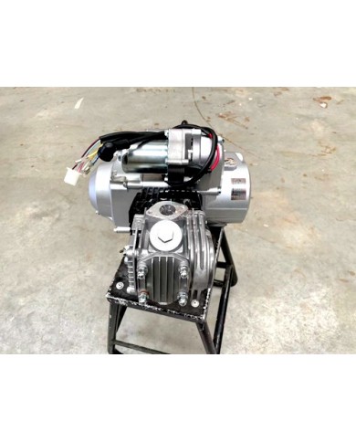 125cc 1+1 Semi Auto + Reverse Engine Motor PIT QUAD DIRT BIKE ATV DUNE BUGGY