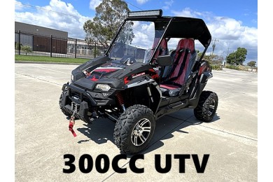 300CC UTV Challenger Dune Buggy Go kart Off Road Water Cool 2 Seater Auto Diff
