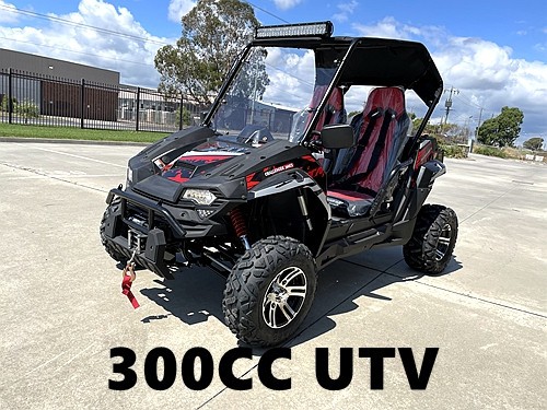 300CC UTV Challenger Dune Buggy Go kart Off Road Water Cool 2 Seater Auto Diff