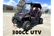 300CC UTV Challenger Dune Buggy Go kart Off Road Water Cool 2 Seater Auto Diff