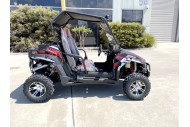 300CC UTV Challenger Dune Buggy Go kart Off Road Water Cool 2 Seater Auto Diff
