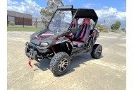 300CC UTV Challenger Dune Buggy Go kart Off Road Water Cool 2 Seater Auto Diff