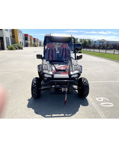 300CC UTV Challenger Dune Buggy Go kart Off Road Water Cool 2 Seater Auto Diff