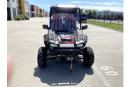 300CC UTV Challenger Dune Buggy Go kart Off Road Water Cool 2 Seater Auto Diff