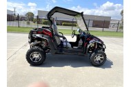 300CC UTV Challenger Dune Buggy Go kart Off Road Water Cool 2 Seater Auto Diff
