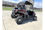300CC UTV Challenger Dune Buggy Go kart Off Road Water Cool 2 Seater Auto Diff